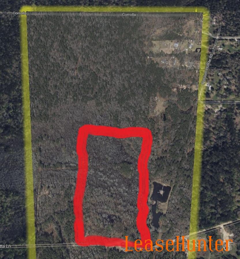 Hunting lease Red Magnolia 4 plots 9607 9611 9613 9595 Palmetto Rd Tx 77354.jpg